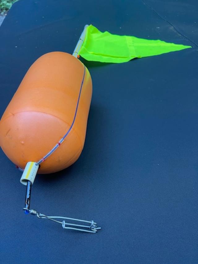 Daytime Swordfish Buoy (low current/high current)