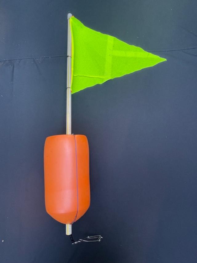 Daytime Swordfish Buoy (low current/high current)