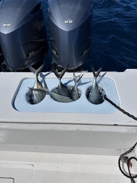 Custom Tuna Tubes 3 bank