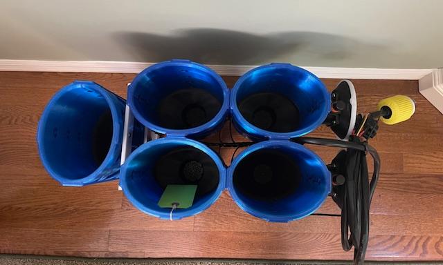 Custom Cat boat set 42', 43', 47' (5 or 6 pack)